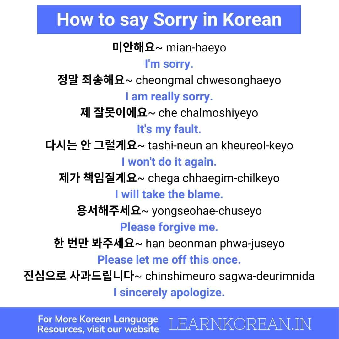 LKI Learn Korean in India how to say sorry in Korean
