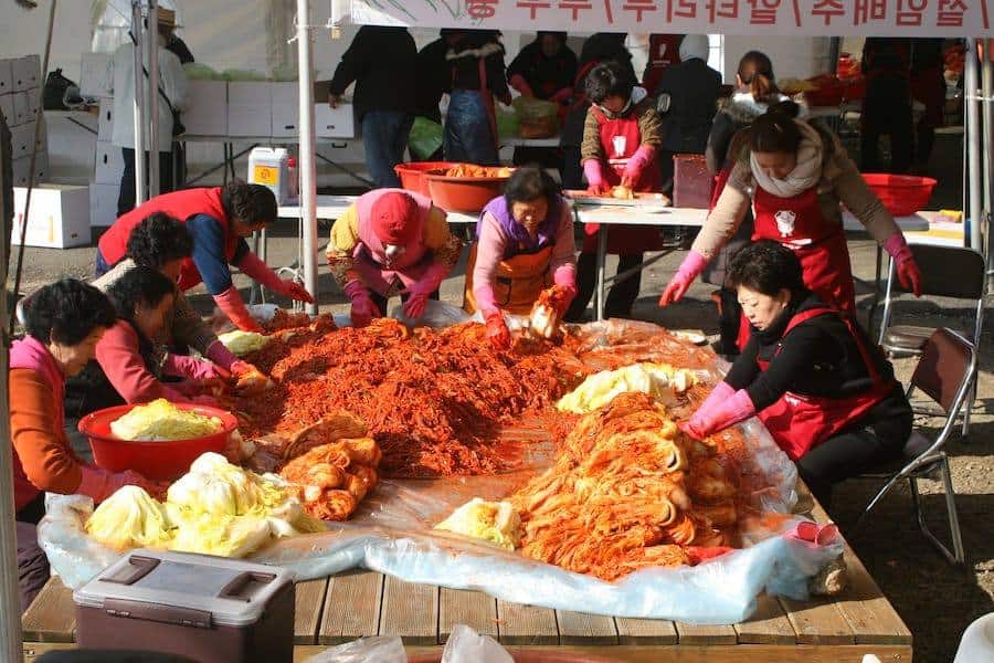 Ingredients for Traditional Kimchi